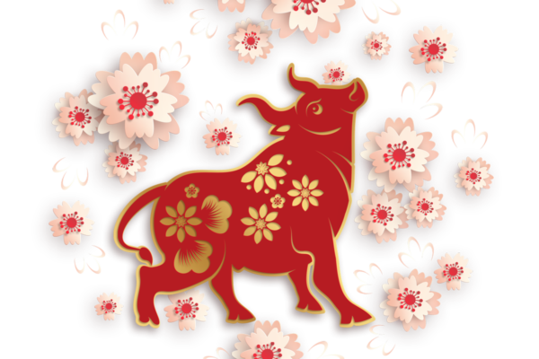 新年快乐