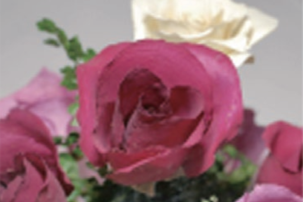 近似太阳光的自然光LED